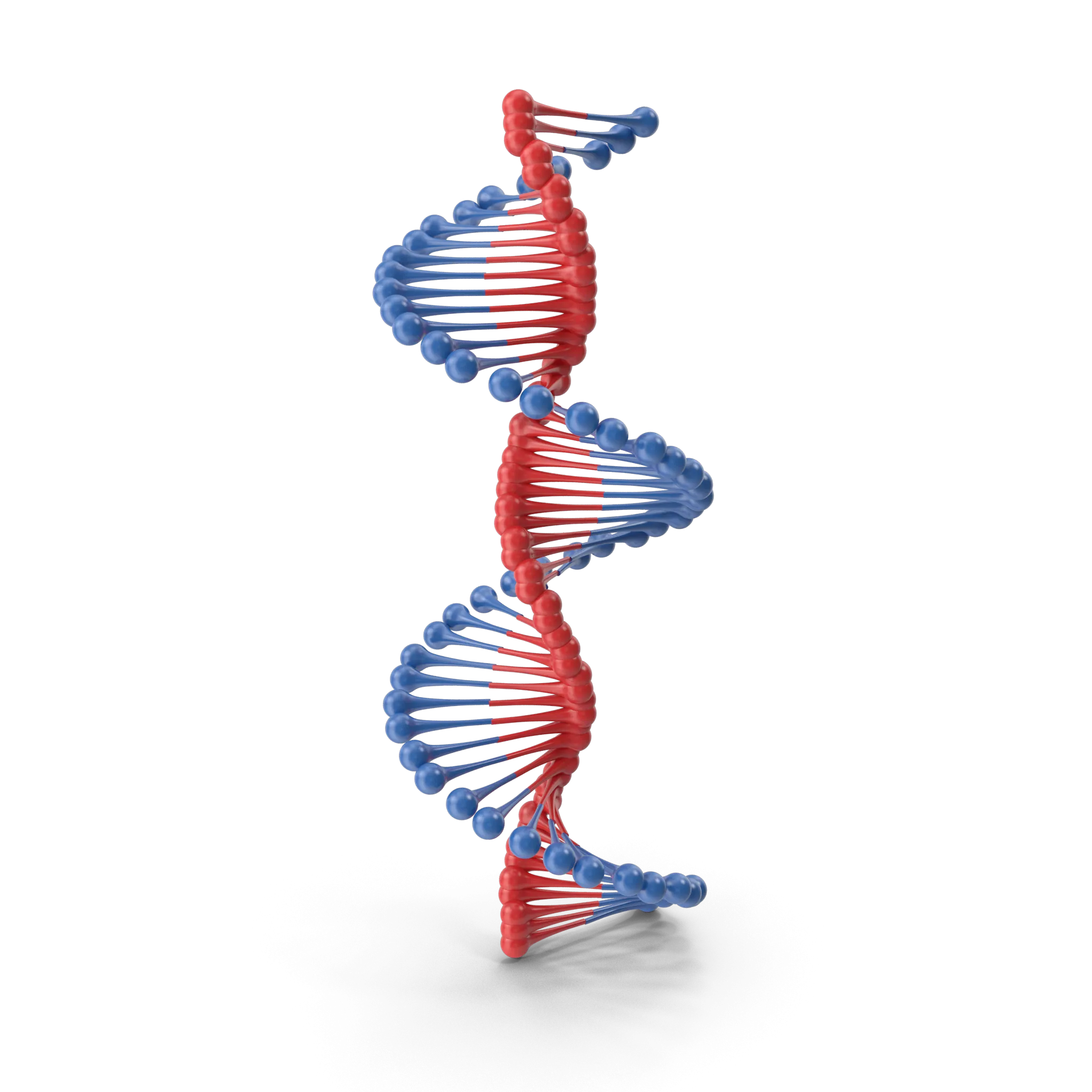 neuropolygen-images-32