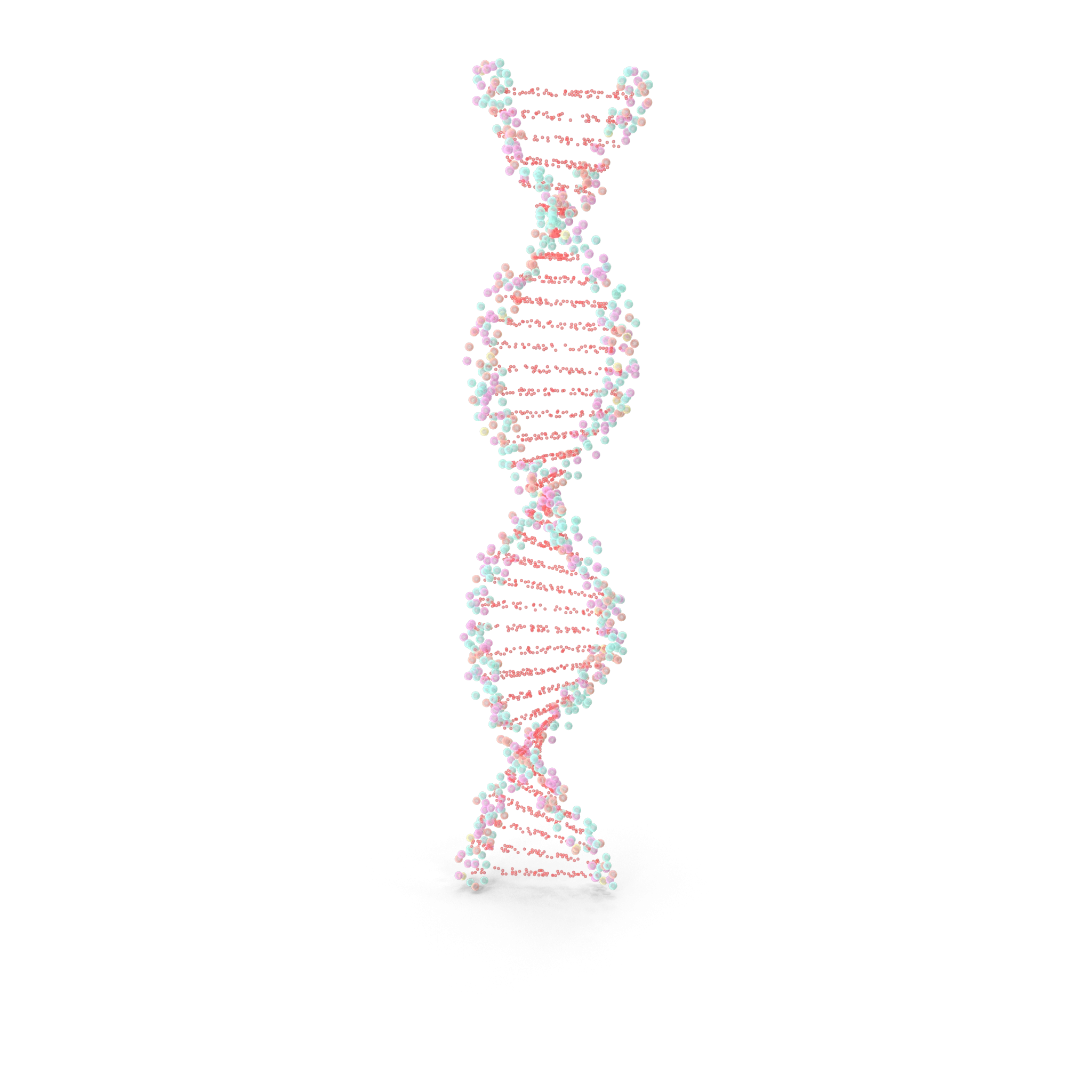 neuropolygen-images-9